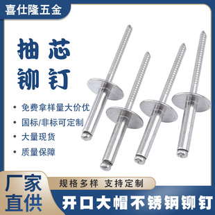 喜仕隆铝铁大帽拉钉抽芯铆钉开口型不锈钢拉钉拉铆钉铁铆钉铝铆钉