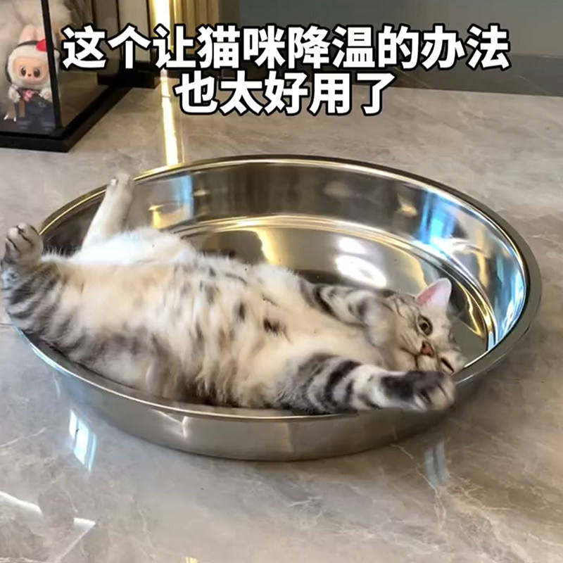 不锈钢盆猫窝新型2026新款夏季宠物降温神器物理降温冰垫冰窝睡觉