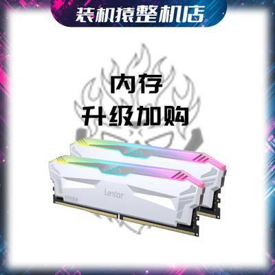 金百达内存条雷克沙