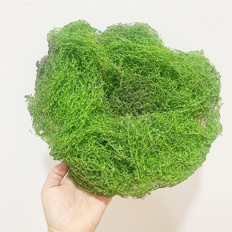 精品地衣青苔丝团植物墙配材微景观盆景装饰地藓仿真青苔块超逼真