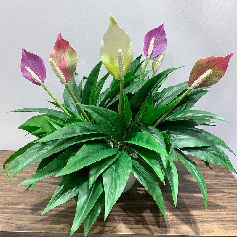 3叉马蹄莲植物墙配材仿真白掌酒店民宿绿景装饰叶货源