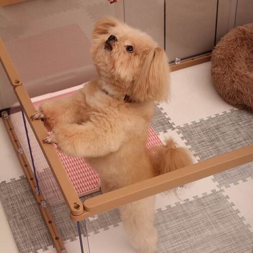 萌小宝宠物透明围栏狗笼子室内小型犬防越狱自由组合阳台可拼狗窝