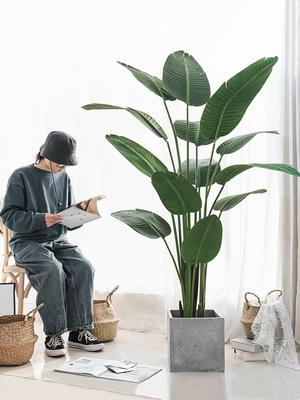 仿真植物盆栽大型欧风室北内装饰落地龟旅人蕉背竹网红摆件假绿植