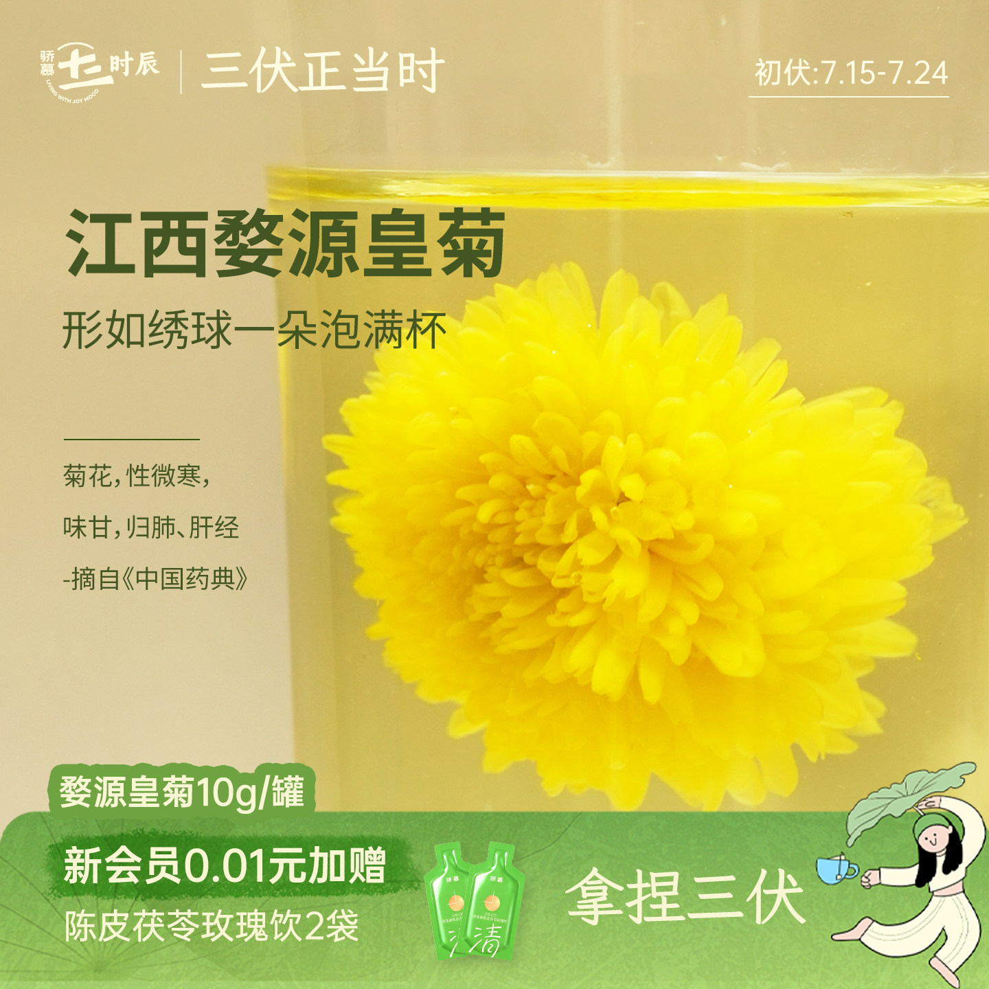 骄慕江西婺源皇菊10g/罐