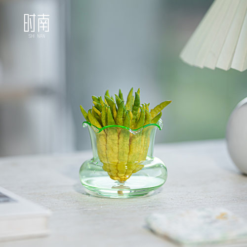 时南玻璃可水养佛手柑专用花瓶