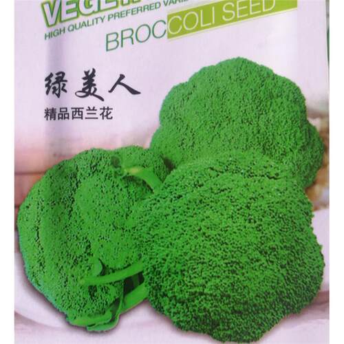 西兰花种子四季蔬菜种子雪玉花椰菜种子黄金绿富士西兰花种子大全