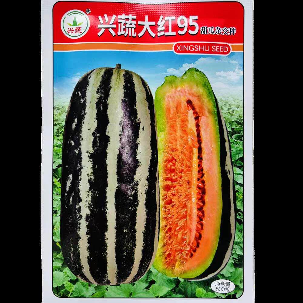 冰糖甜瓜种子薄皮超甜瓜花皮香瓜籽四季水果种孑冰糖子春夏秋季播