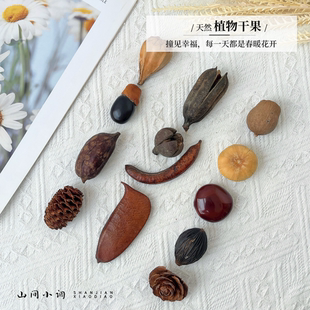 干花相框摆设 植物果实果壳材料 插花工艺品装 饰乡村复古拍摄道具