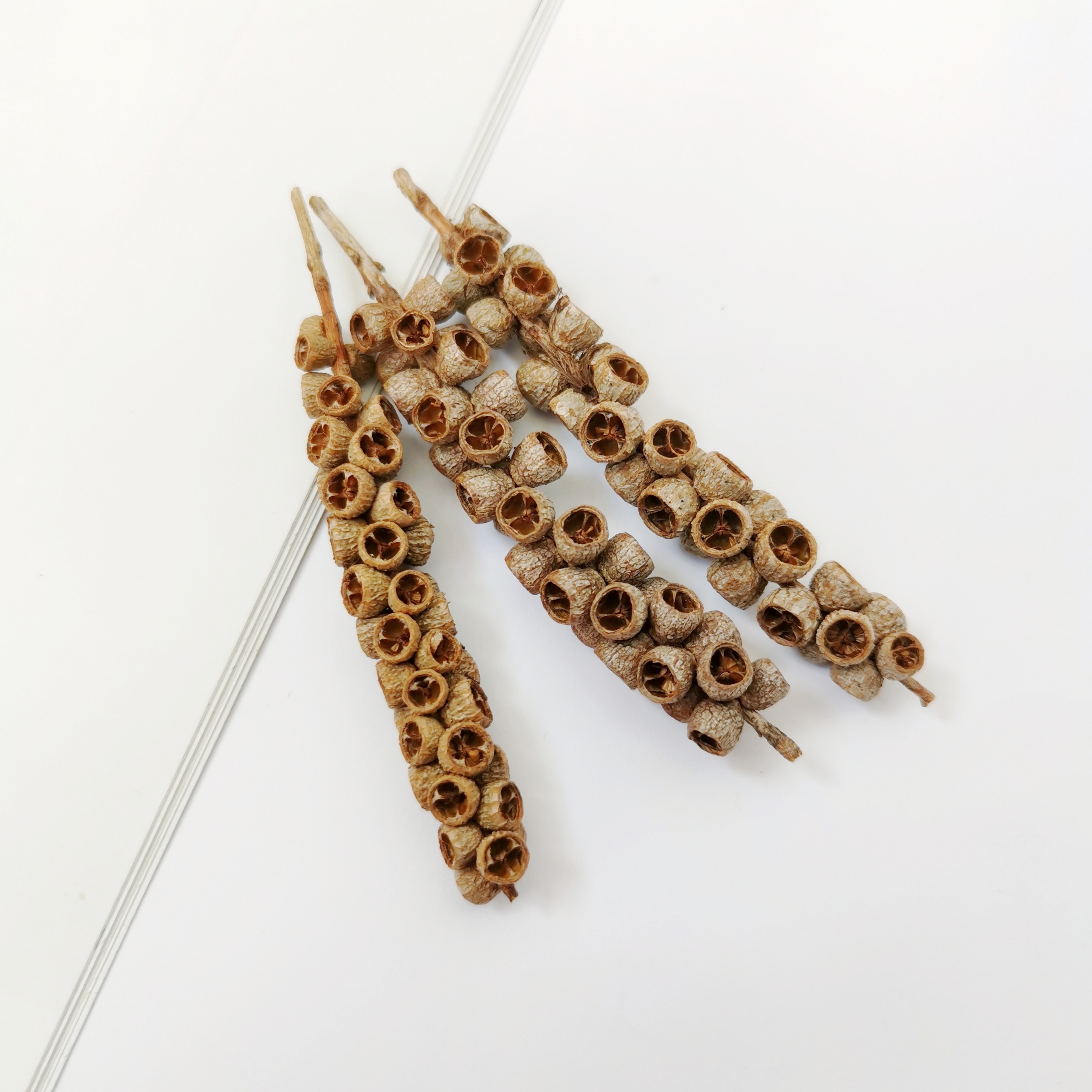 【佛珠果】蜡烛香薰辅材天然植物果实串干果香包标本收集手工diy