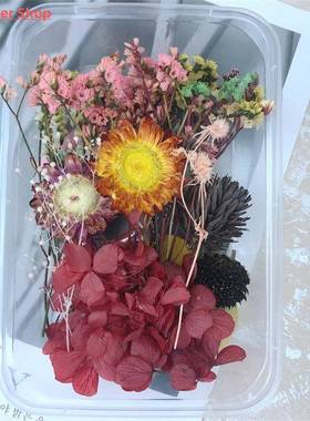 30g/box Dried Flowers for Resin PreservedFreshFlower Dried P