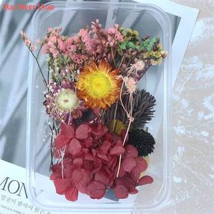 30g/box Dried Flowers for Resin PreservedFreshFlower Dried P