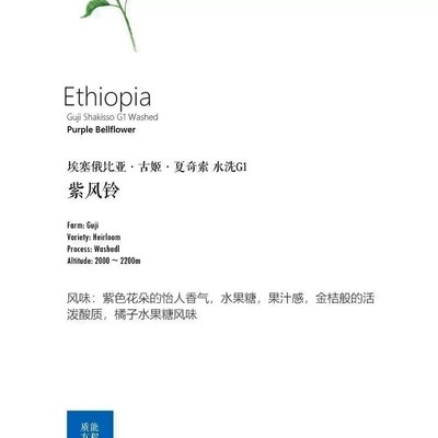 咖啡豆下单烘焙 埃塞俄比亚Ethiopia古姬Guji 紫风铃 水洗G1 227g