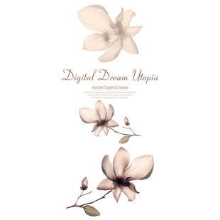 荷花浴室磨砂玻璃贴纸卫生间窗户透光不透明装饰品遮光防窥门贴膜