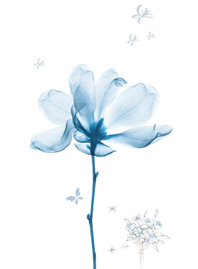 中国风花朵防走光厨房玻璃贴纸
