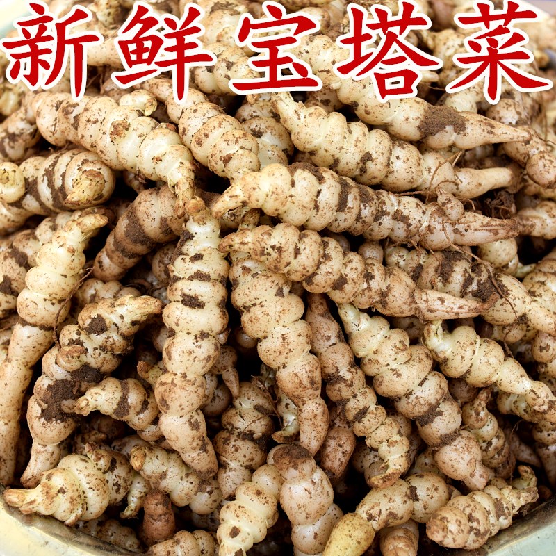 新鲜宝塔菜螺丝菜地环菜地牯牛地螺丝地藕可做泡菜酱菜炒菜脆地梨