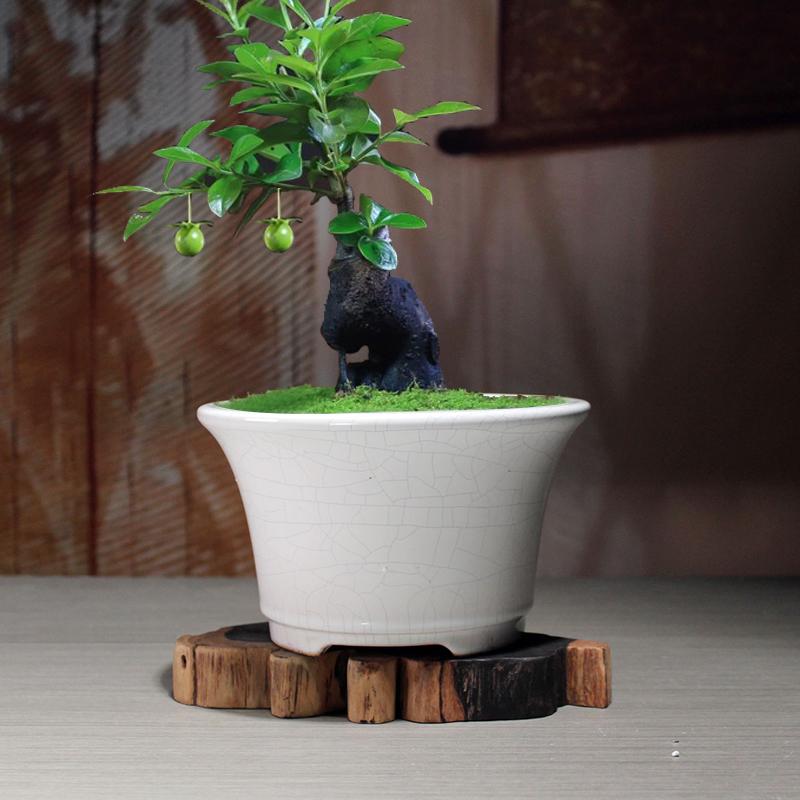 陶瓷简约冰裂小号盆栽