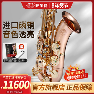 进口磷铜 6700专业演奏级 台湾萨尔特次中音萨克斯管乐器降b调SP