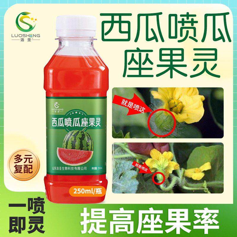 西瓜坐果灵授粉药坐果灵保花保果膨果快速提高坐果率一喷即灵剂