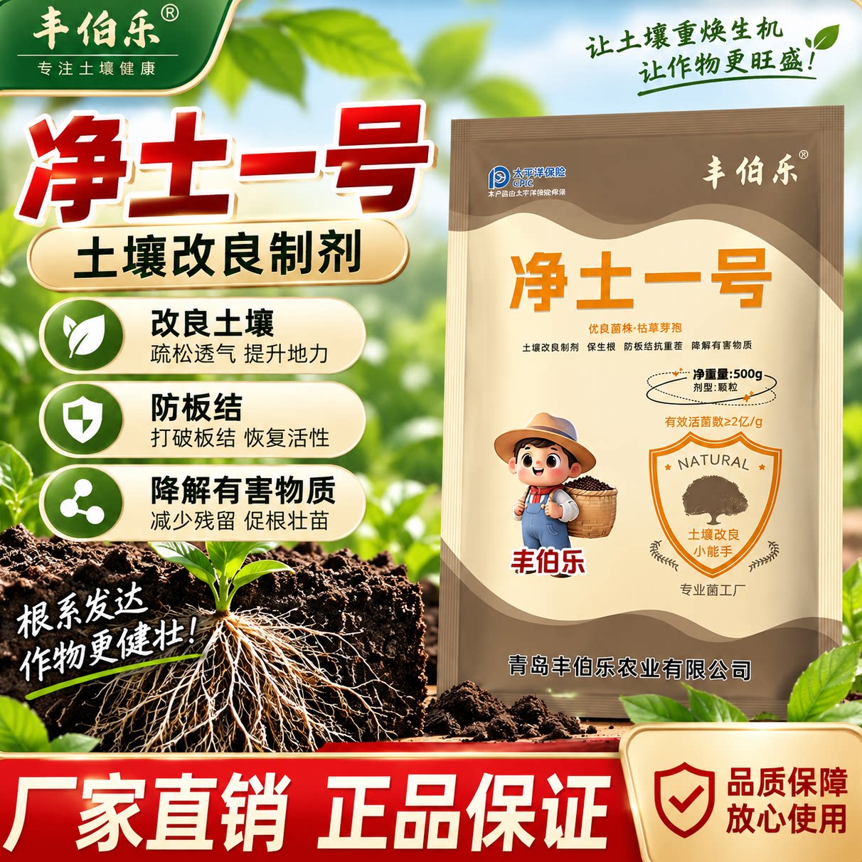 净土1号改善土壤生根壮苗