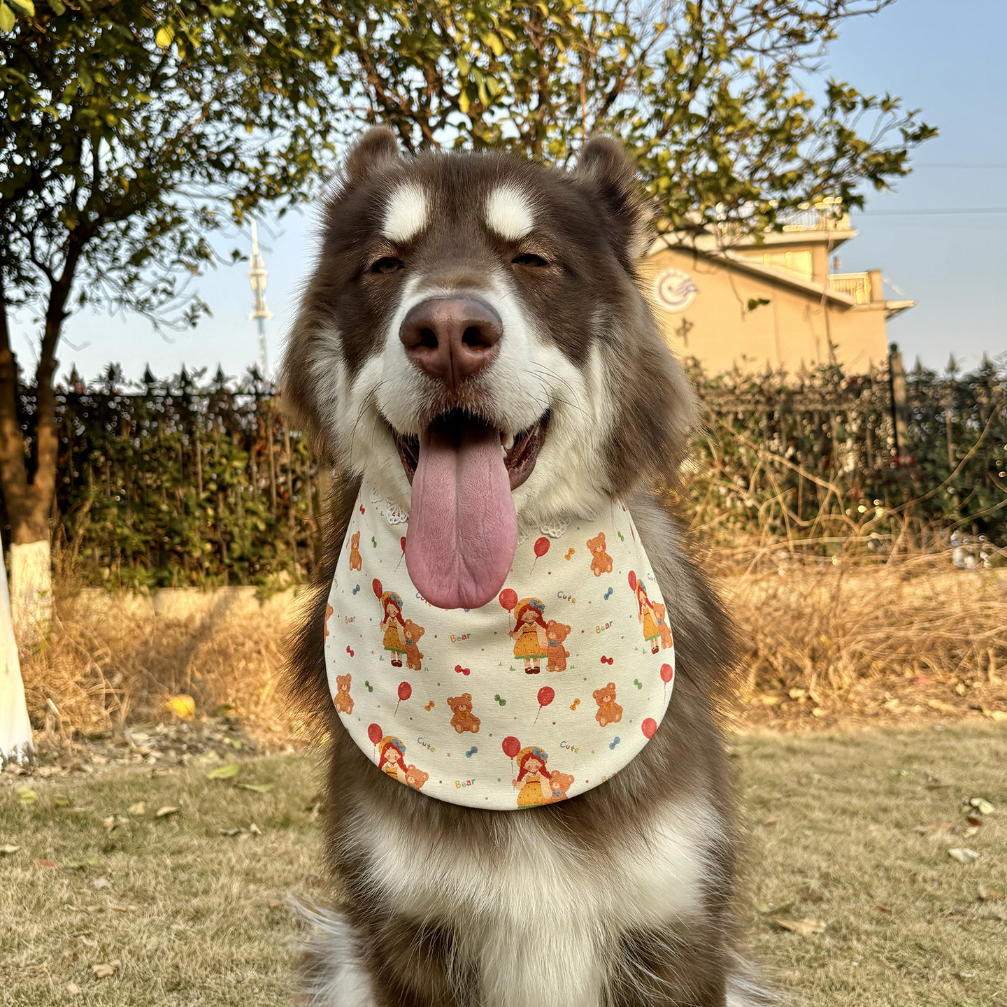 宠物狗狗口水巾围兜大中小型犬吸水夏季双面可爱边牧金毛节日礼物