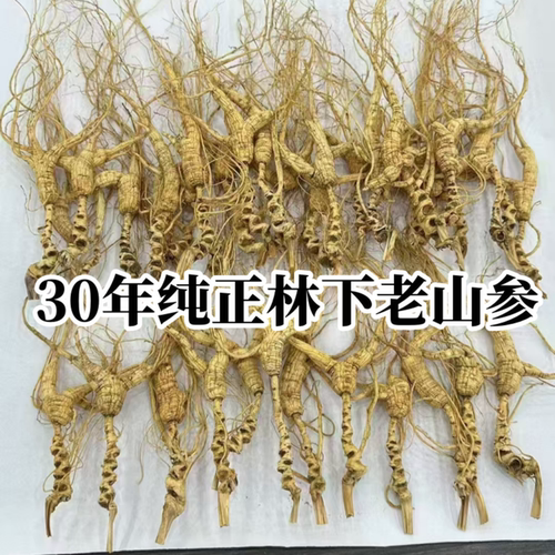 林下山参吉林野生人参长白山野山参25年20年30年林下参干人