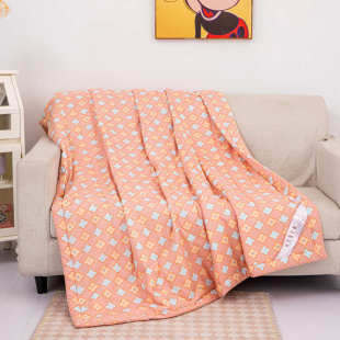 儿童夏凉被夏季 空调被棉绸小被子幼儿园夏被午睡夏天男孩 纯棉薄款