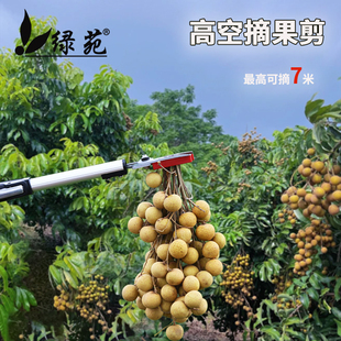 摘果神器高空摘果修树枝高枝剪刀采摘枇杷龙眼桂皮杨梅荔枝伸缩杆