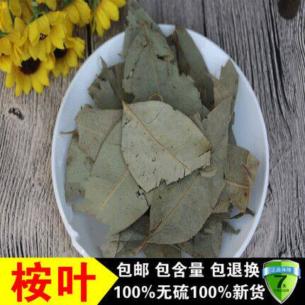 中药材 桉树叶 大桉叶 大桉叶 大按树叶 大桉树叶 橡树叶蓝绿桉叶