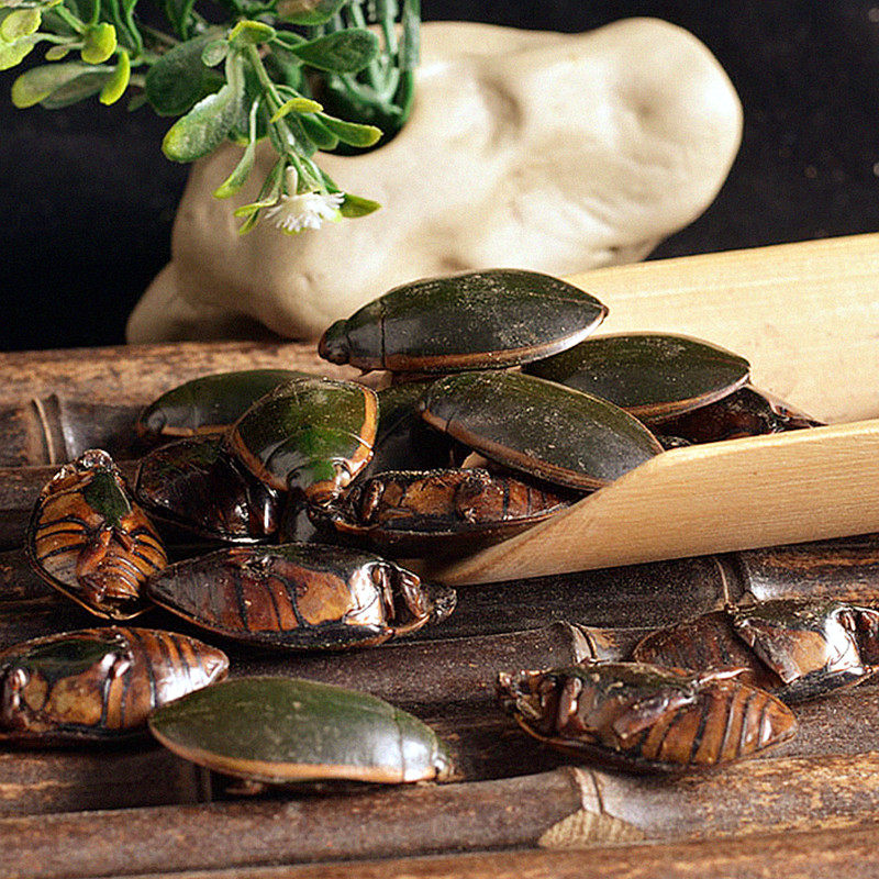 中药材 新货纯干金边龙虱  水鳖虫 射尿龟 100克包邮免费磨粉促销