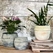 发财树斑马芋透气透水泥花盆手工做旧艺术北欧复古田园文艺泼墨