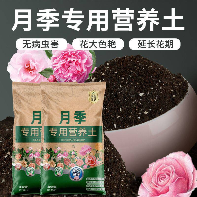 月季土土蔷薇花土月季花营养土壤月季花肥泥土种植土水晶泥瓶装