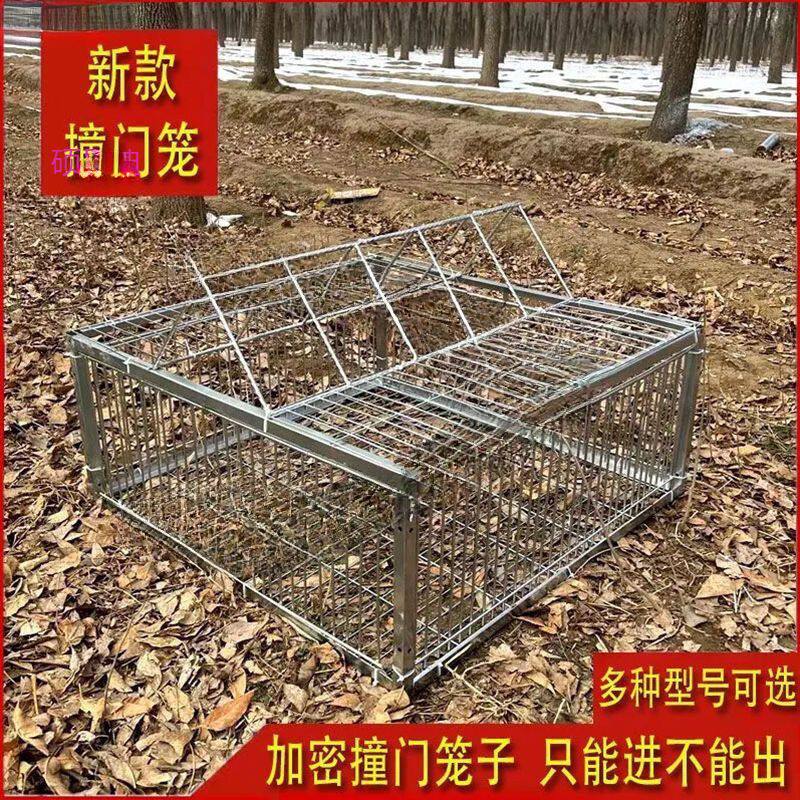 户外天落笼鸽子笼撞门活络门鸽笼铁笼只进不出跳笼房顶自动门