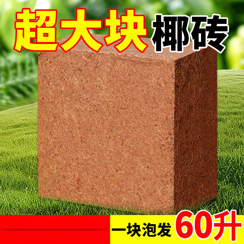 9斤大块椰砖营养土养花型椰子壳土壤耶砖种菜盆栽脱盐椰糠砖其他