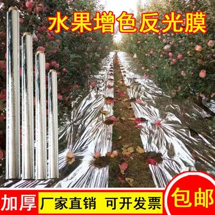 苹果大棚专用反光膜农用果树果园地膜葡萄桃增色双面上色增温仕淮