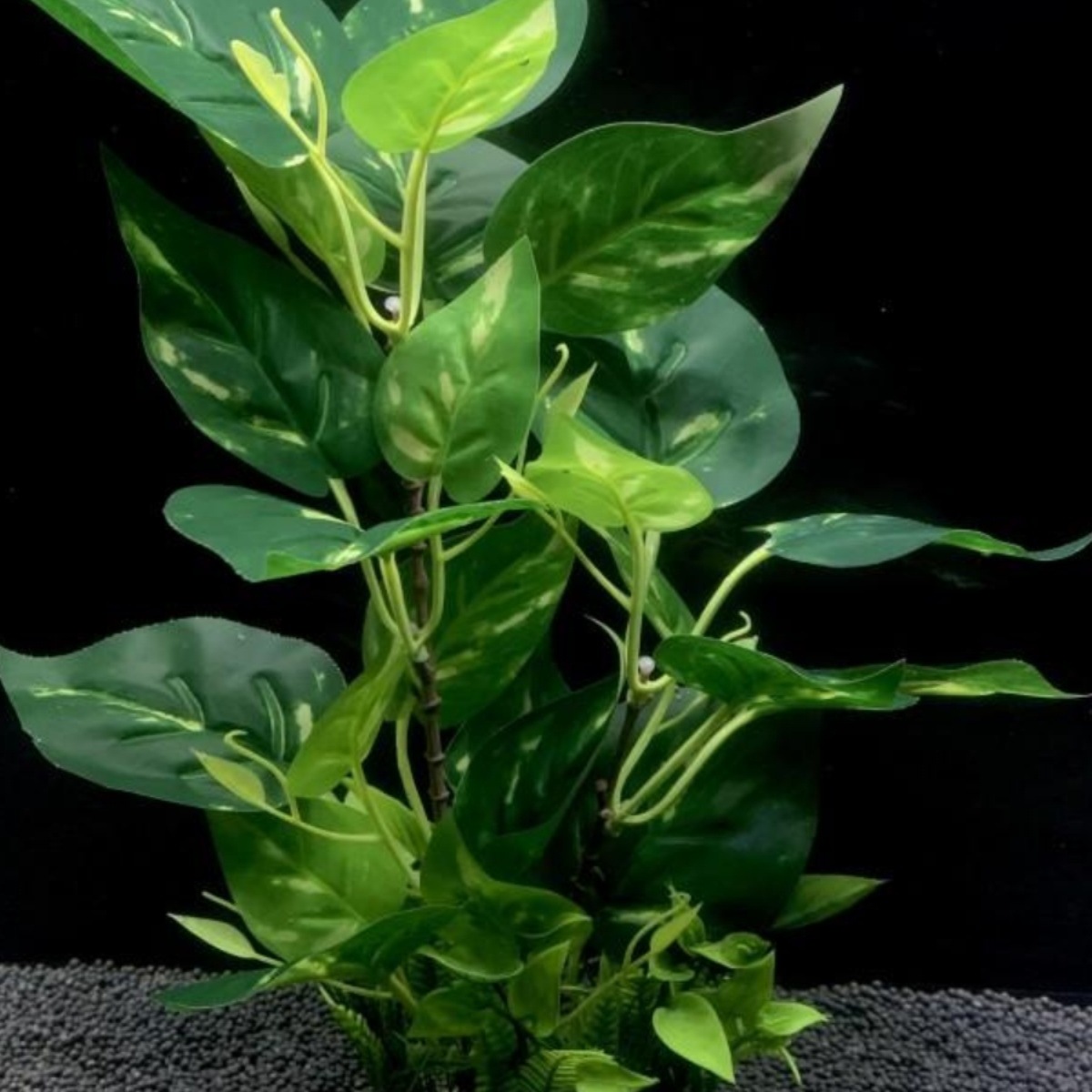 鱼缸乌龟缸布景植物水草大叶榕桔色假花塑料花草居家摆件