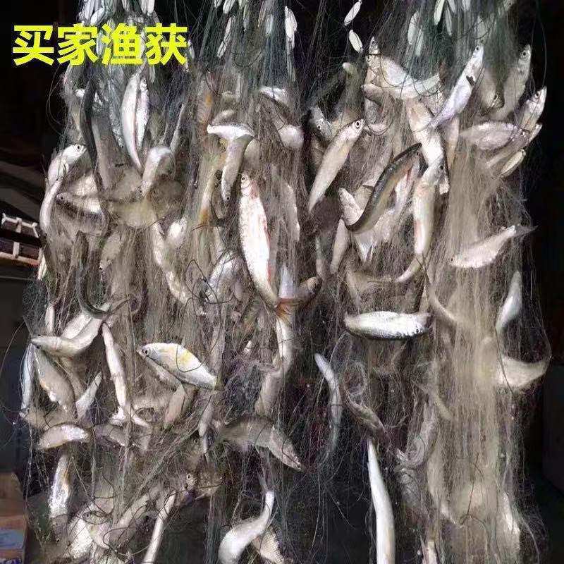 渔网沾捕一指白条网粘鱼网小鱼单层半指丝网餐条一层指分浮网沉网