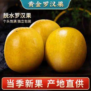 黄金罗汉果干果独立包装 广西桂林特产永福罗汉果茶泡水 冻干鲜正品