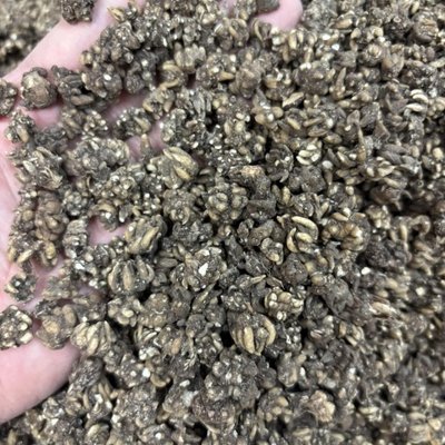 猫爪草无硫新货特级猫爪草中药材干货水洗猫新鲜爪草干货产地直达