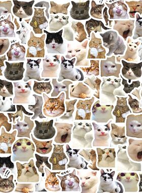 46pcs Cute Cartoon Cat Emojis Graffiti Stickers Decorated