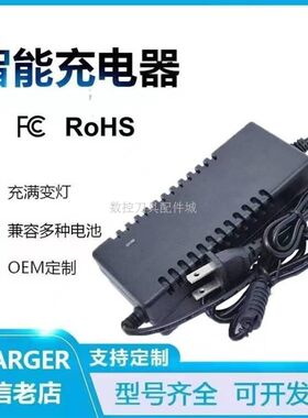适用NOAHK诺雅电动车飞毛腿磁动车电动自行车锂电瓶适用电源17V充