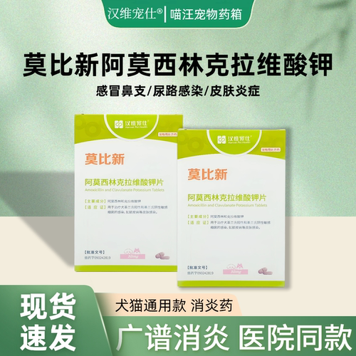 莫比新阿莫西林克拉维酸钾片犬猫皮肤炎症感冒发烧广谱抗菌药50mg