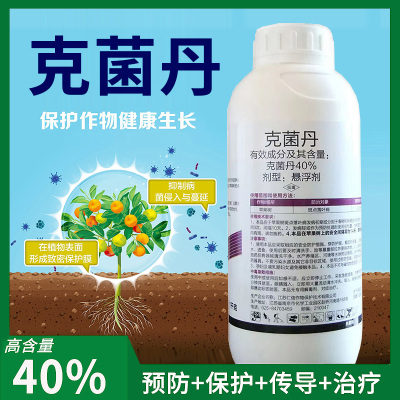 炭疽病灰霉白粉花卉农药杀菌剂