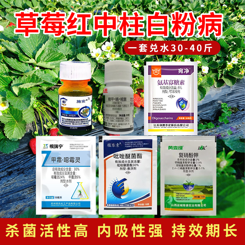 6%春雷霉素稻糜病杀菌剂