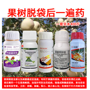 果树脱袋后一遍药套餐预防果面黑红点叶斑病轮纹病杀虫杀菌剂