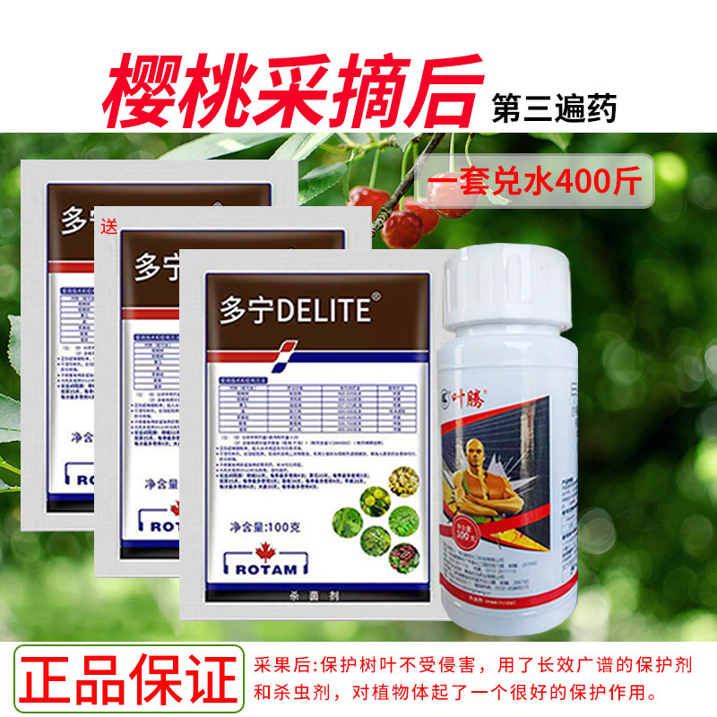 樱桃树采果后第三遍药大樱桃保叶保芽专用药杀菌病虫害防治套餐