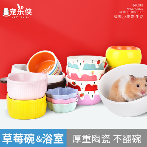 金丝花枝鼠食物碗饲料自动陶瓷