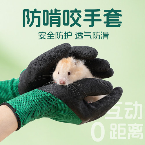 仓鼠防咬手套加厚专用爬宠儿童安全防护动物喂鹦鹉防猫兔子金丝熊