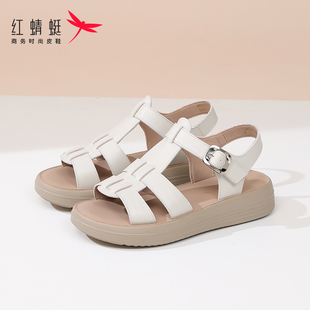 红蜻蜓女罗马凉鞋 女士软底平底夏季 休闲百搭外穿软面舒适2025新款
