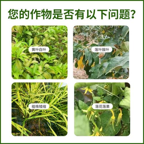 COMPO高纯度磷酸二氢钾磷钾叶面肥促花膨果增产促灌浆促籽粒饱满