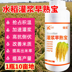 水稻灌浆肥抢积温抗倒伏增产量有机大量元素水溶肥水稻灌浆早熟宝